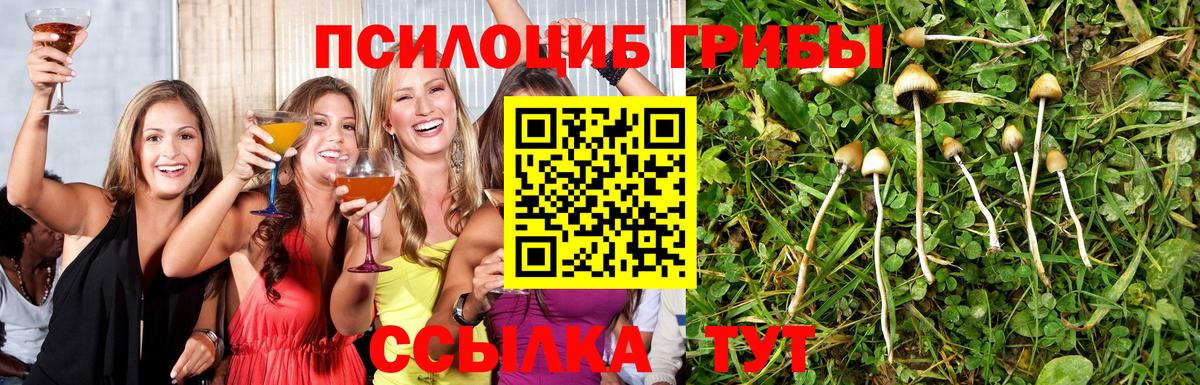Псилоцибиновые грибы ЛСД  Вход с VPN  Коммунар  Псилоцибиновые грибы MAGIC MUSHROOMS 