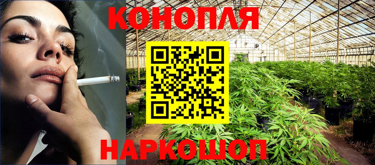 Бошки Шишки конопля Коммунар